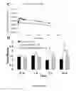 Fig. 12 - In vivo detection of phospholipase activation