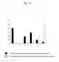 Fig. 11 - Gene-specific unbiased amplification method