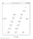 Fig. 40 - Methods and compositions for multiplex PCR