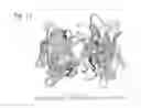 Fig. 12 - Encoded self-assembling chemical libraries (ESACHEL)