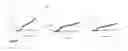 Fig. 16 - PAPER DEVICE FOR GENETIC DIAGNOSIS
