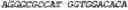 Fig. 14 - Polymerase variants