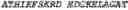 Fig. 40 - Polymerase variants