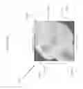 Fig. 24 - Systems and methods for genetic and biological analysis