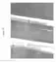 Fig. 30 - Systems and methods for genetic and biological analysis