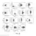 Fig. 03 - Compositions and Methods for Identifying Genetic Predisposition to Obesity and for Enhancing Adipogenesis