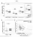 Fig. 65 - Biomarker panel for the detection of cancer