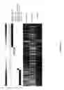 Fig. 04 - Method of diagnosing cancer