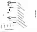 Fig. 13 - Method of diagnosing cancer