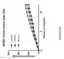 Fig. 25 - Method of diagnosing cancer