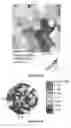 Fig. 08 - TITANIUM ALLOYS FOR ADDITIVE MANUFACTURING