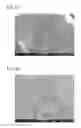 Fig. 09 - Nickel-based intermetallic alloy and method for producing the same