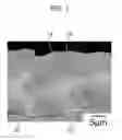 Fig. 07 - Plated steel sheet