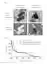 Fig. 03 - Single crystal of porous compound, method for assessing quality of single crystal, method for preparing solution including compound to be analyzed, method for producing crystal structure analysis sample, and method for determining molecular structure of compound to be analyzed