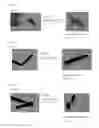 Fig. 07 - Single crystal of porous compound, method for assessing quality of single crystal, method for preparing solution including compound to be analyzed, method for producing crystal structure analysis sample, and method for determining molecular structure of compound to be analyzed