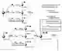 Fig. 01 - Chemically encoded spatially addressed library screening platforms