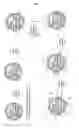 Fig. 07 - Chemically encoded spatially addressed library screening platforms