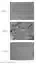 Fig. 02 - PILE FABRIC
