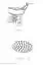 Fig. 02 - Spin cycle mobile washer