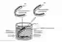 Fig. 01 - SILVER-ION COATED OBJECT OBTAINED BY MICROWAVE IRRADIATION AND A METHOD FOR COATING A SILVER-ION ONTO A TARGET OBJECT