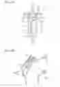 Fig. 10 - Flush toilet