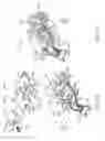 Fig. 21 - Exit device systems and methods
