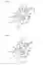Fig. 13 - Door latch apparatus with childproof lock mechanism and assembling method of childproof lock mechanism