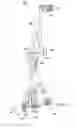 Fig. 19 - High trip rate drilling rig