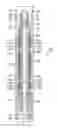 Fig. 01 - Wellbore isolation devices with degradable slips and slip bands