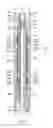 Fig. 03 - Wellbore isolation devices with degradable slips and slip bands