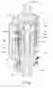 Fig. 15 - Tool coupler with rotating coupling method for top drive