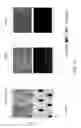 Fig. 11 - Methods and system for cleaning gas turbine engine