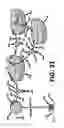 Fig. 28 - Self-propelled buoyant energy converter and method for deploying same