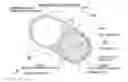 Fig. 01 - Variable oil pump having adjustment ring containing guide portion with flat surface