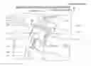 Fig. 01 - Variable oil pump