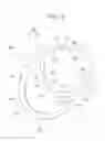 Fig. 11 - CLIP