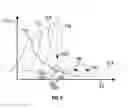 Fig. 06 - Torsional vibration absorption system