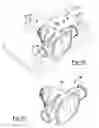 Fig. 08 - Composite axle housing and methods of manufacturing thereof