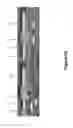 Fig. 29 - Valve actuator