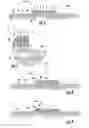 Fig. 03 - HARDWARE ASSEMBLY WITH REVERSIBLE DRY ADHESIVE