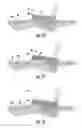 Fig. 04 - HARDWARE ASSEMBLY WITH REVERSIBLE DRY ADHESIVE