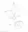 Fig. 20 - Light apparatus