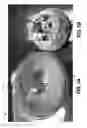 Fig. 06 - Backlit lamp having directional light source