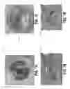 Fig. 08 - Backlit lamp having directional light source