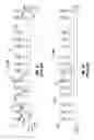 Fig. 02 - Method and apparatus for ornamental light strings