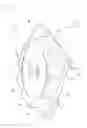 Fig. 23 - Light source lens, illumination unit, and display unit