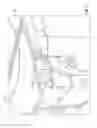 Fig. 12 - Cooking appliance and cooling assembly therefor