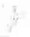 Fig. 04 - Pistol