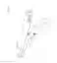 Fig. 05 - Pistol