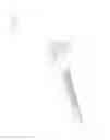 Fig. 08 - Pistol
